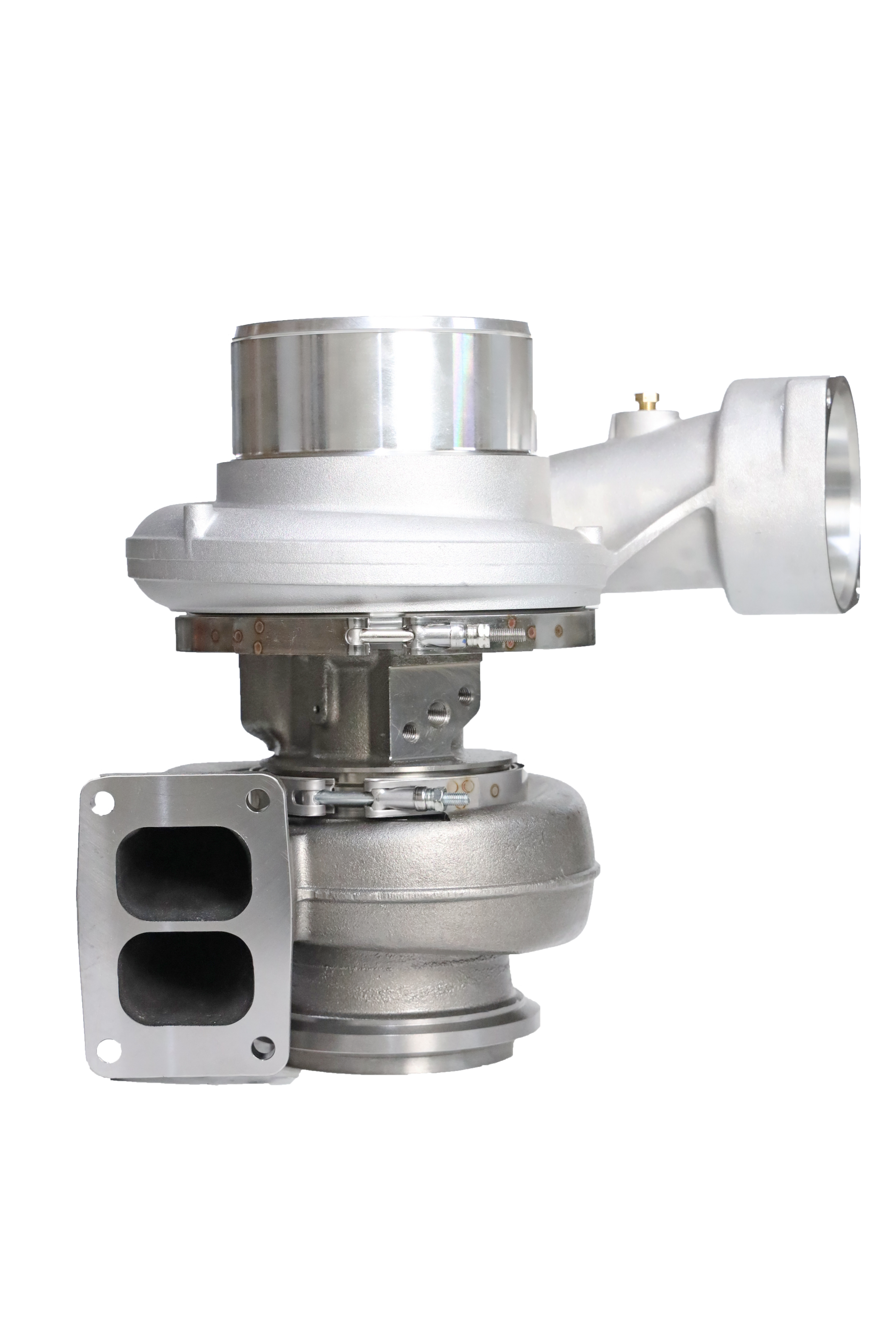 T20.BACK.png?v=1730394900&